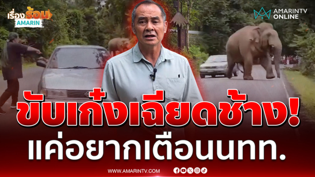 หวั่นเกิดอันตราย! เปิดอีกมุมปัดขับเก๋งเฉียดช้างเจ้าถิ่น"งาทอง-ต้นกล้า"