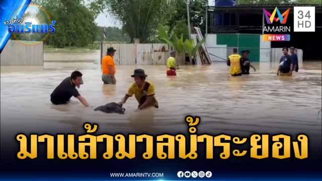 มวลน้ำท่วมระยอง! รีบเก็บของขึ้นที่สูง-ลูกหมูลอยตามน้ำ