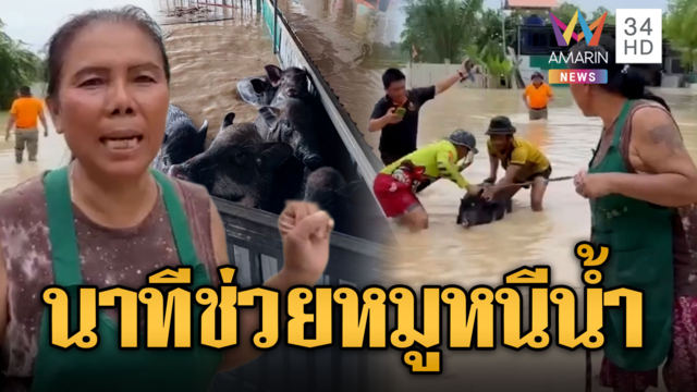ฝนตกหนัก น้ำทะลักปลวกแดง เร่งช่วยคน-หมูติดน้ำ