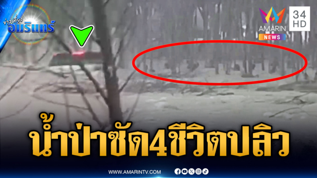 น้ำป่าซัดรถกระเด็น 4 ชีวิตเกาะต้นยางหนีตาย
