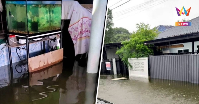 วิกฤต! เคหะธานี 4 ซอย 44 น้ำท่วมสูงถึงเอว วอนขอเสบียงช่วยผู้พิการ