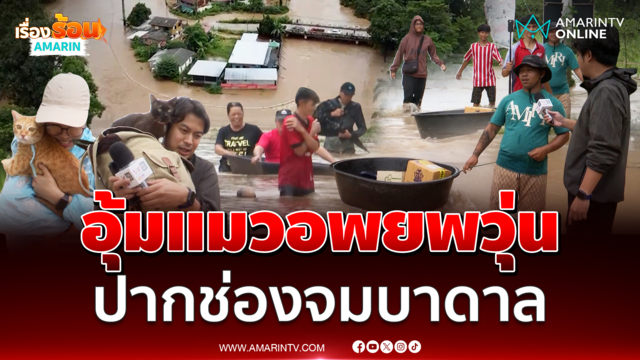 ปากช่องจมบาดาล ทีมข่าวอมรินทร์ทีวีช่วยอุ้มแมวอพยพวุ่น