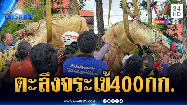 ตะลึงช่วยกันอพยพจระเข้หนัก 400 กก.หนีน้ำท่วม