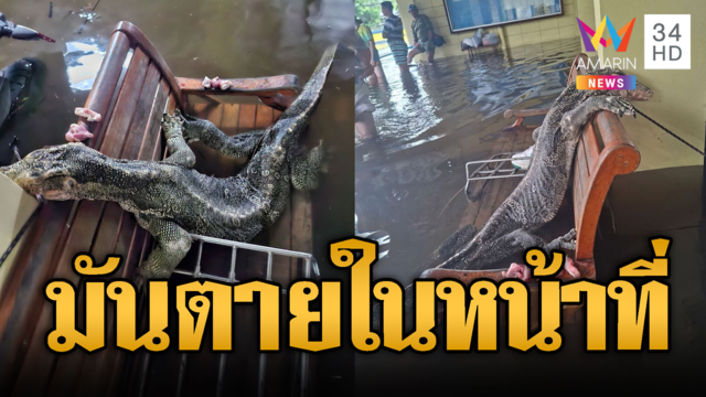 ตัวเงินตัวทองยังสู้น้ำไม่ไหว ตายคาเก้าอี้แฟลตคลองจั่น