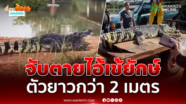 จับตายไอ้เข้ยักษ์ ตัวยาวกว่า 2 เมตร หลังโผล่ จ.ฉะเชิงเทรา