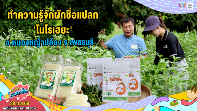 'โมโรเฮยะ' ผักชื่อแปลก ไร่เพชรมาลัยกุล จ.เพชรบุรี