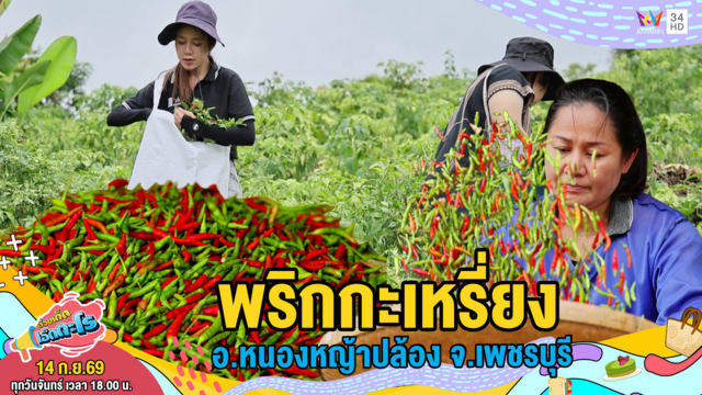 พริกกะเหรี่ยง อ.หนองหญ้าปล้อง จ.เพชรบุรี 