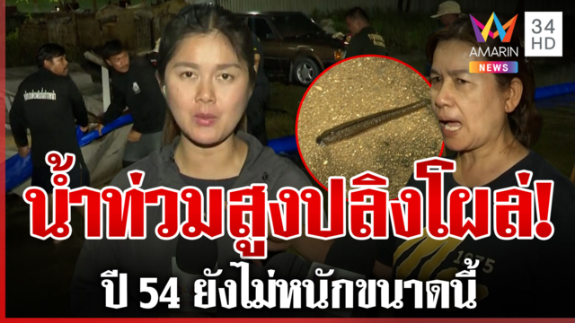 เกาะติดน้ำท่วมสมุทรปราการ 7 วันน้ำเน่าปลิงโผล่