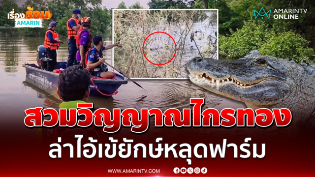 สวมวิญญาณไกรทอง ล่าไอ้เข้ยักษ์หลุดฟาร์ม