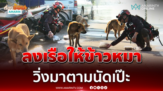 กู้ภัยลงเรือให้ข้าวน้องหมาติดเกาะน้ำท่วมบ้านสร้างวิ่งมาตามเวลาเดิมเป๊ะ