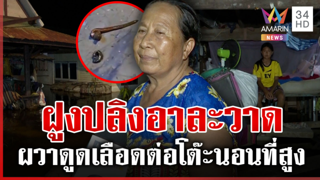 ต่อโต๊ะนอนที่สูง! จมน้ำเน่าปลิงโผล่-ผวาสัตว์มีพิษ