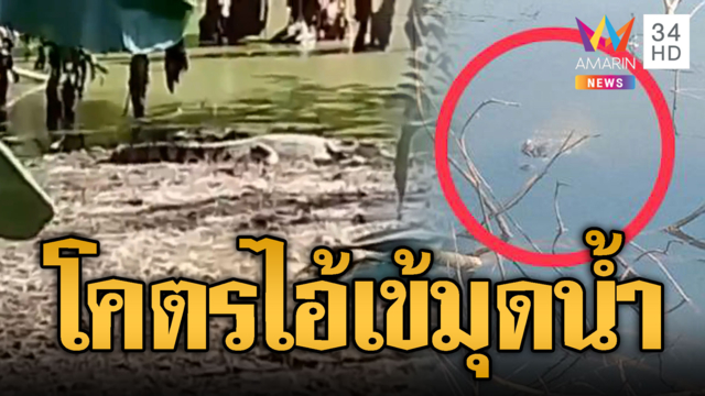 ปราจีนบุรีขวัญผวา! จระเข้ไซส์ยักษ์ยาวเกิน 2 เมตร มุดน้ำท่วม