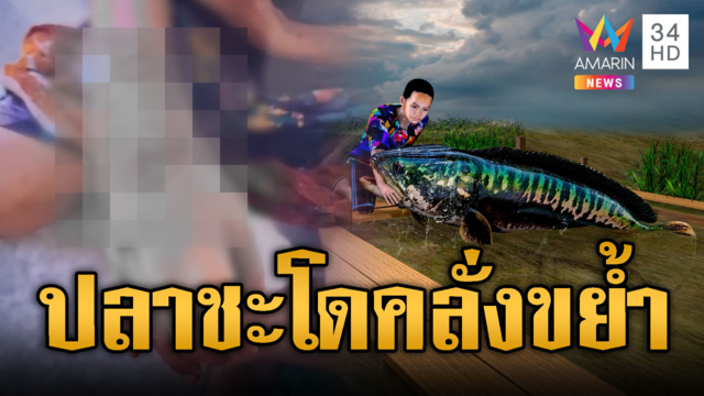 แม่ปลาชะโดหวงลูก กัดแขนเด็ก 13 เลือดอาบ