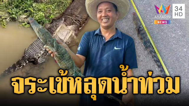 ชาวบ้านจับลูกจระเข้หลุดช่วงน้ำท่วม โผล่อาบแดด