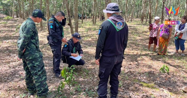 อีกแล้ว!ช้างป่าโผล่สวนยางท่าตะเกียบ ไล่ทำร้ายแรงงานสาวเจ็บหนัก