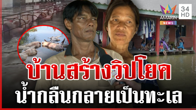 บ้านสร้างวิปโยคจมทั้งอำเภอ อัมพาตหนัก-นาจมหมูตาย 2 พันศพ