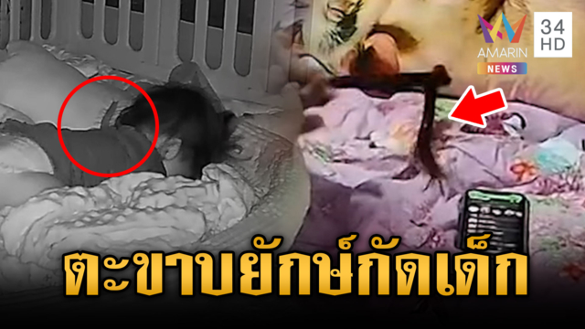 ตะขาบยักษ์หนีน้ำ กัดเด็กโชคดีช่วยทัน