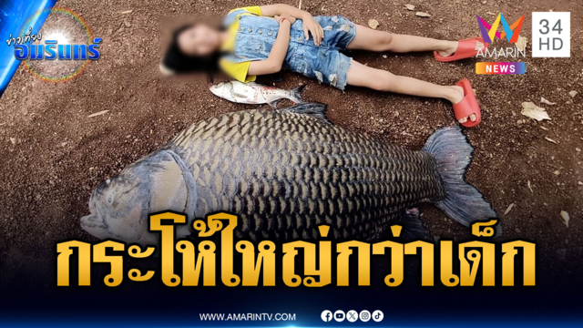 เห็นแล้วอึ้งปลากระโห้น็อกน้ำ หนักเกือบ 100 กก.ตัวใหญ่กว่าเด็ก