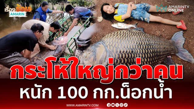 อึ้งปลากระโห้ยักษ์น็อกน้ำ ตัวใหญ่กว่าเด็ก-หนัก 100 กิโลฯ