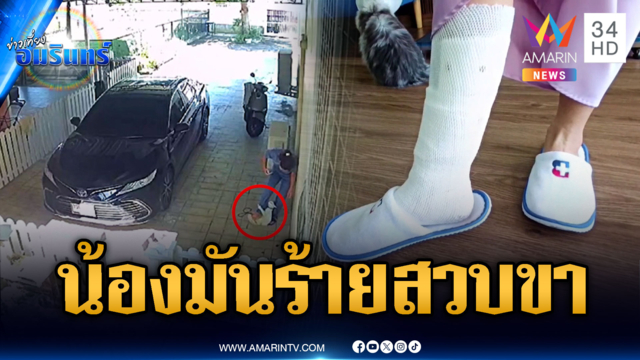 น้องแมวขาวมันร้าย! กระโจนสวบขาสัตวแพทย์