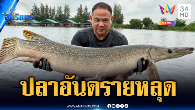 ผวาปลาอัลลิเกเตอร์ยักษ์หลุดจากบ่อ เตือนห้ามกินไข่มีพิษ