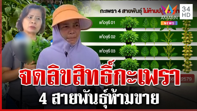ดรามา! เอกชนจดลิขสิทธิ์กะเพรา แม่ค้าเดือดไม่โอเค