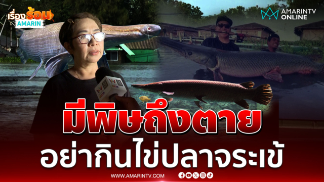 เตือนอย่าหากิน ไข่ "ปลาจระเข้" มีพิษถึงตาย