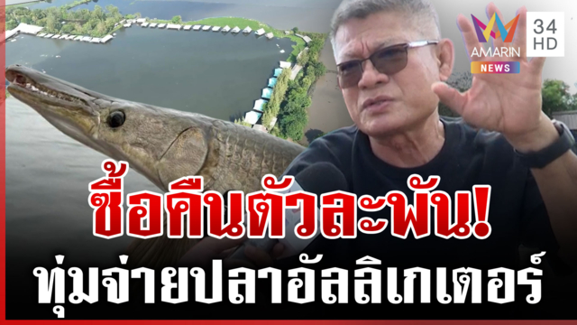เจ้าของบึงสำราญไม่ท้อ ตั้งค่าตัวซื้อคืนปลาอัลลิเกเตอร์