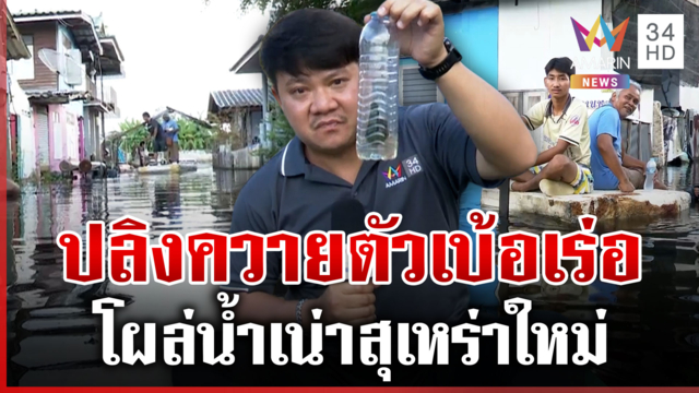 ชุมชนสุเหร่าใหม่ ผวาปลิงยักษ์ออกอาละวาด