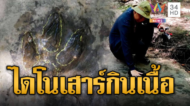 ยืนยันเจอรอยเท้า “ไดโนเสาร์กินเนื้อ” อายุราว 120 ล้านปี