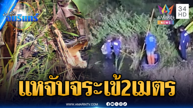 นาทีตะครุบจับจระเข้ยาว 2 เมตร จ่อส่งบึงบอระเพ็ด
