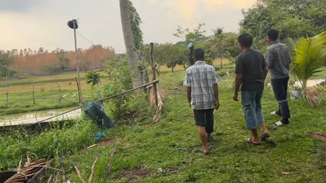 หนุ่มใหญ่ดวงกุด ขณะกำลังเดินไปเอาวัวเข้าคอก ถูกฟ้าผ่าดับ