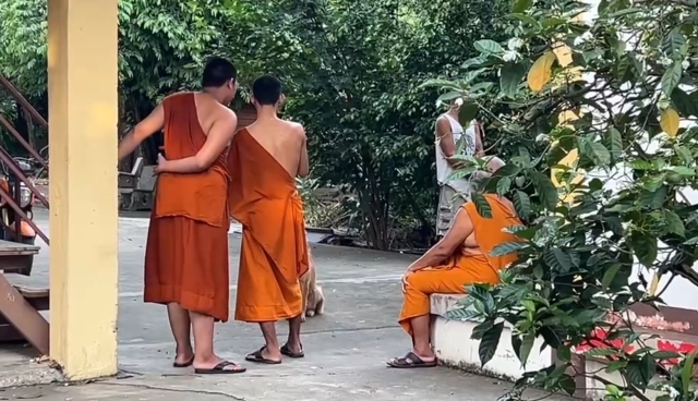 นึกว่าสายบุญ ที่แท้สายโจร! หญิงตีเนียน ฉกเงินเจ้าอาวาส