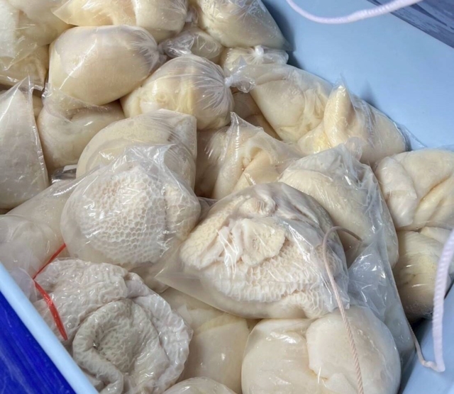 ปคบ.ทลายซากเนื้อลอบนำเข้า 41 ตัน-แช่ฟอร์มาลีน   