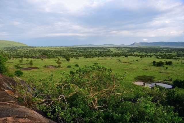 อุทยานแห่งชาติเซเรนเกติ (Serengeti National Park)