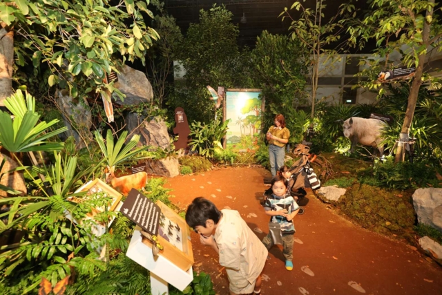   SX KIDS ZONE