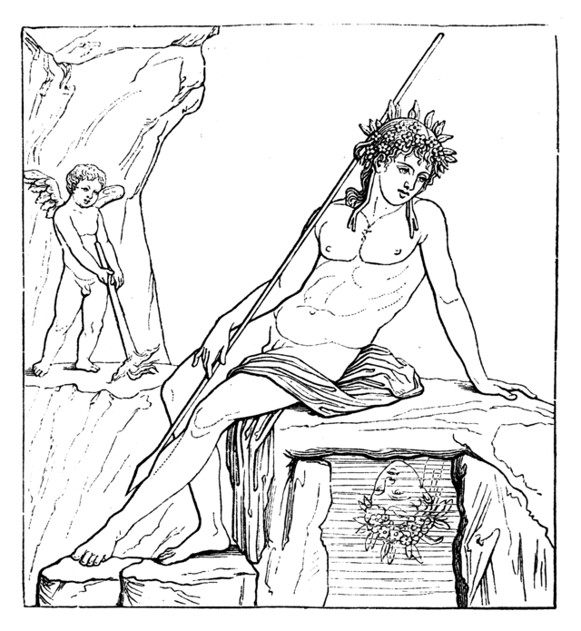 Narcissus