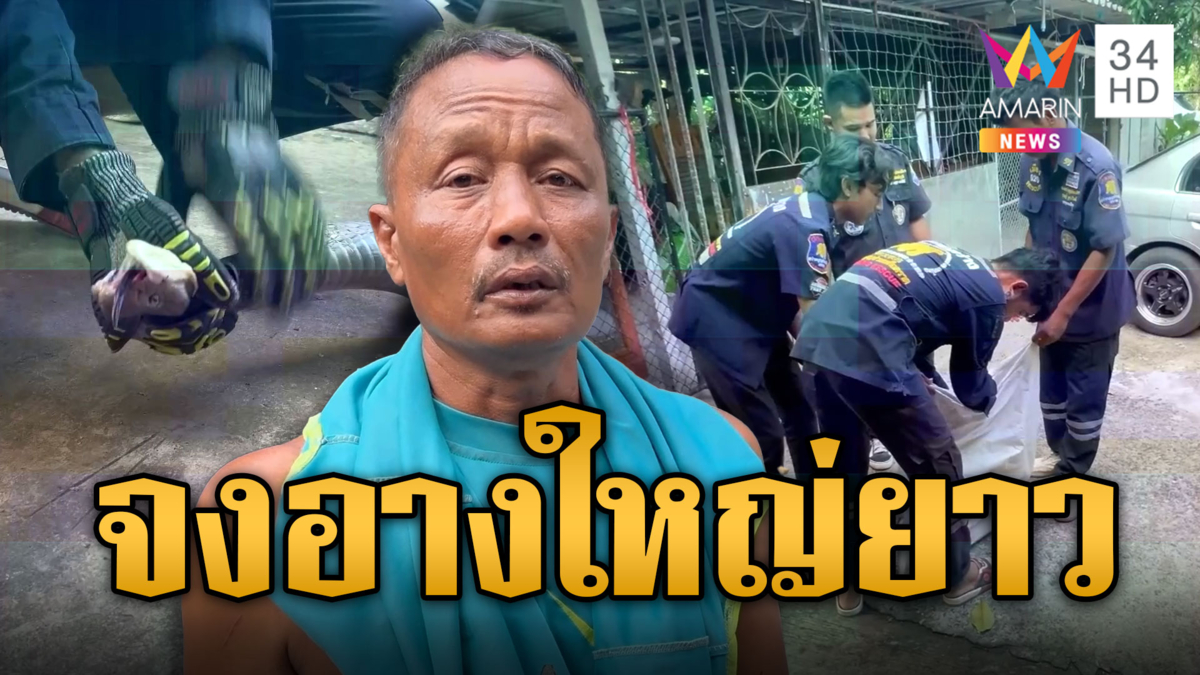 จงอางยักษ์บุก แอบซุกกองไม้หน้าบ้าน ตัวใหญ่ยาว 4 เมตร