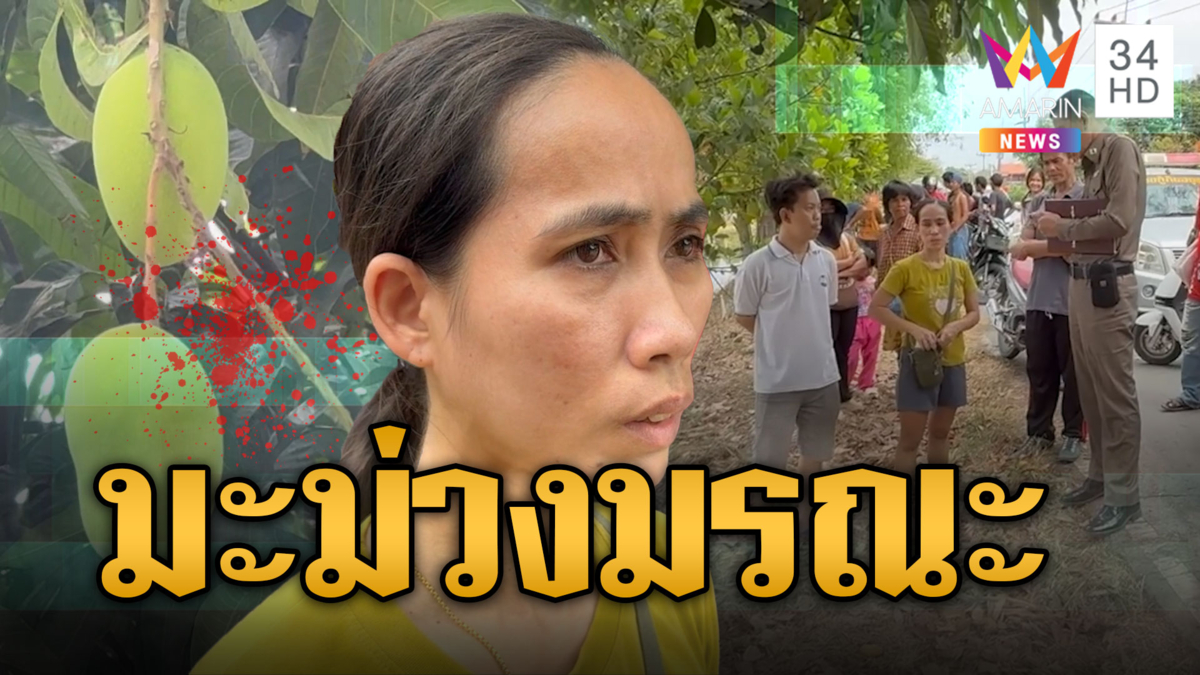หนุ่มเปรี้ยวปากอยากกินมะม่วง ปีนเก็บพลาดตกกระแทกพื้น กลิ้งลงน้ำจมดับ