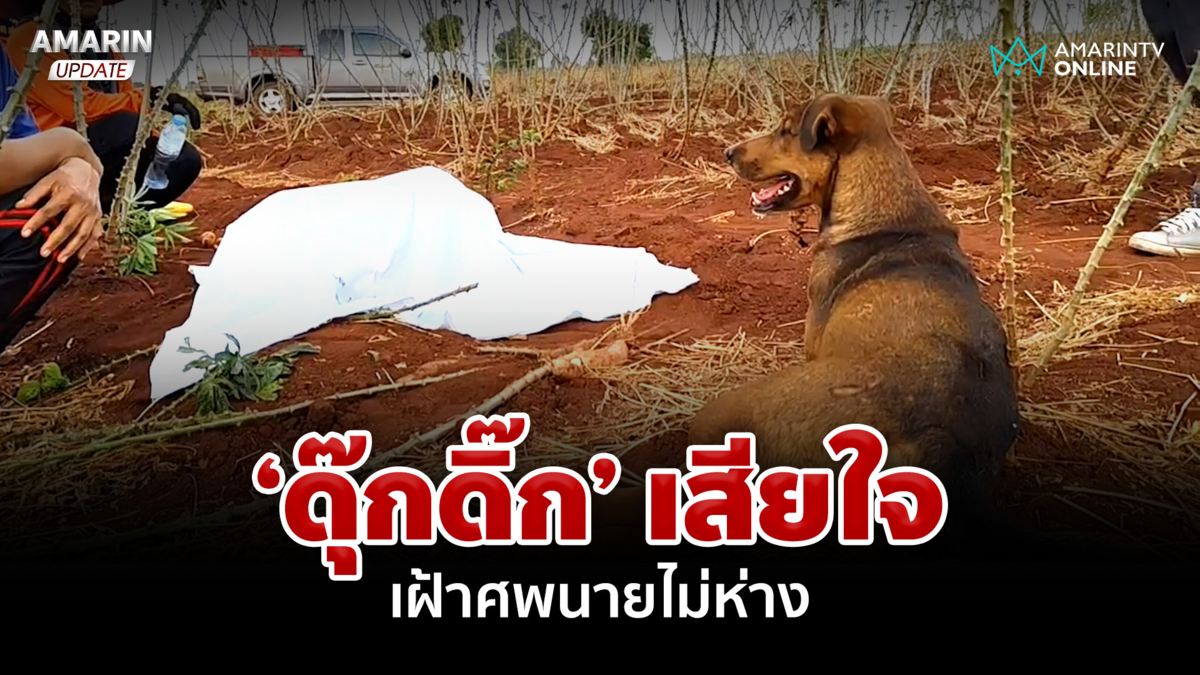 'ดุ๊กดิ๊ก' เสียใจ เฝ้าศพนายวูบดับกลางไร่มันไม่ห่าง ท่ามกลางอากาศร้อน