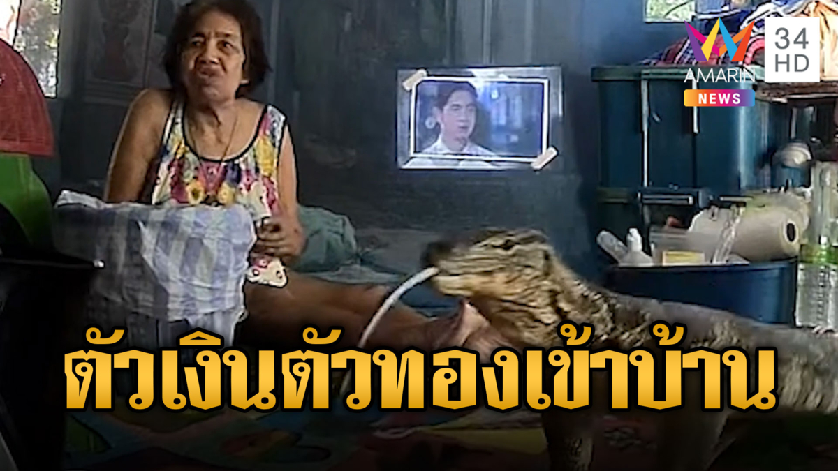 ยายร้องลั่น! ตัวเงินตัวทองบุกเข้าบ้าน ลุกไม่ไหวตะโกนเรียกลูกมาช่วย