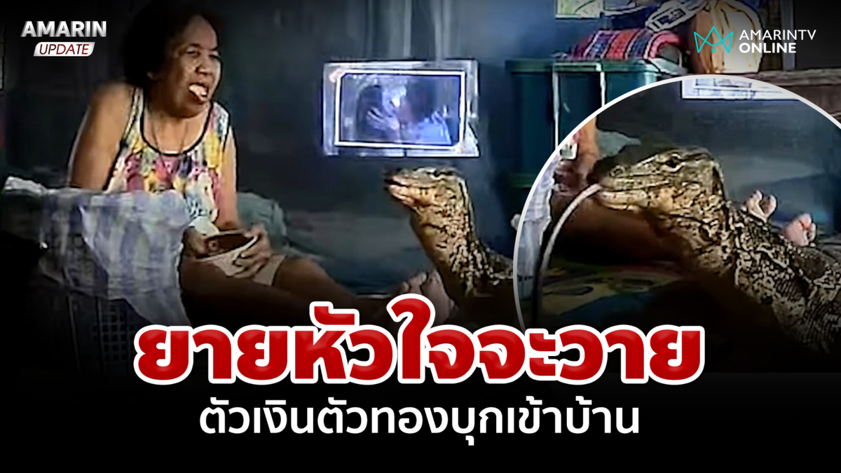 ยายหัวใจจะวาย ประจันหน้าตัวเงินตัวทองบุกเข้าบ้าน 