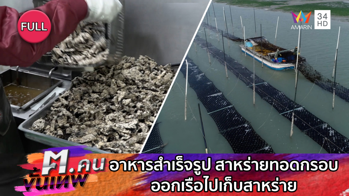 สาหร่ายทอดกรอบ ออกเรือไปเก็บสาหร่าย และ การทำห้องซันรูม | ฅ.คนขั้นเทพ