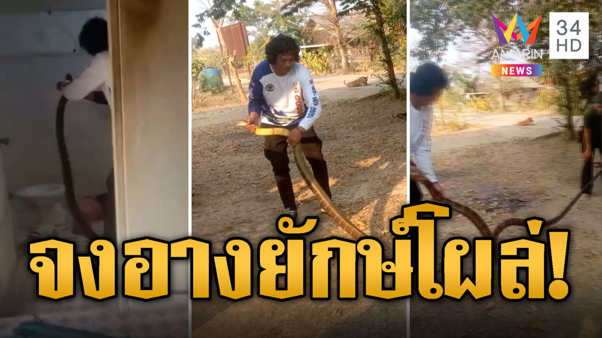 เจ้าของบ้านขวัญผวา! จงอางยักษ์ แวะเข้าห้องน้ำเอาตัวขวางประตู