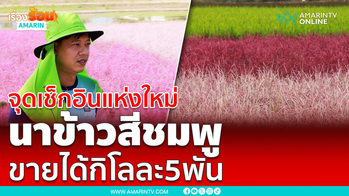 นาข้าวสีชมพู ขายได้กิโลละ 5 พัน จากฝีมือเกษตรกรรุ่นใหม่