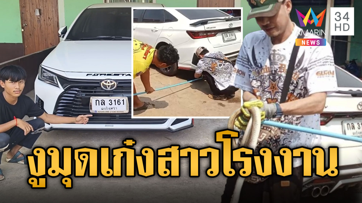 สาวโรงงานแทบช็อก! งูทางมะพร้าวมุดเก๋ง คอหวยแห่ส่องทะเบียน