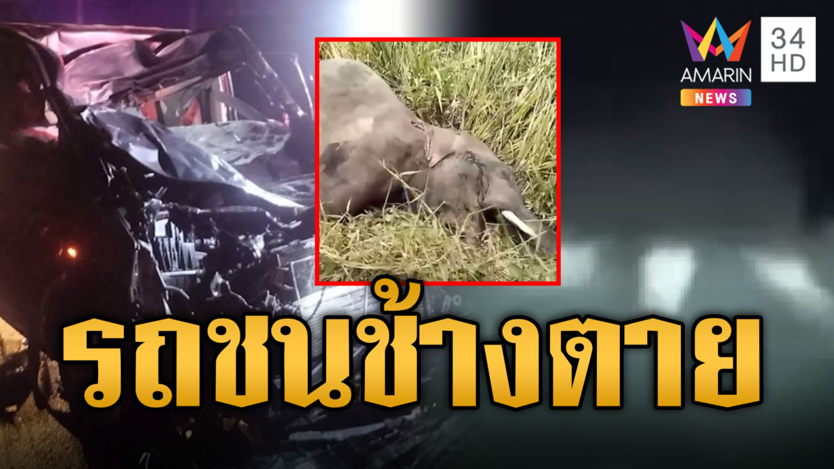 รถตู้ลงเนิน ทางมืดชนช้างข้ามถนนตาย คนเจ็บ 2