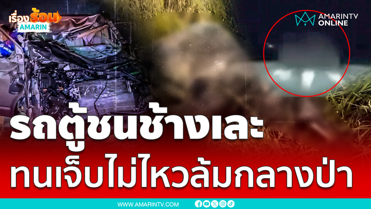 รถตู้ลงเนินพุ่งชนช้างล้มกลางป่า