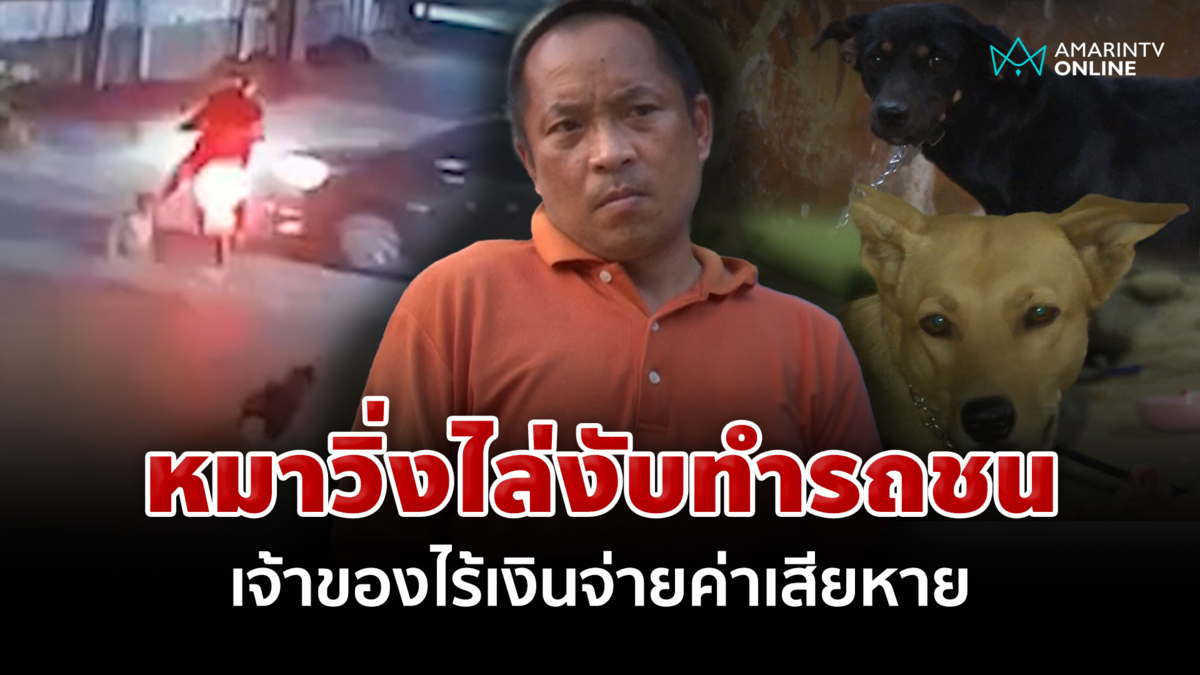 หมาวิ่งไล่งับขาจยย. ทำรถชนหวิดดับ เจ้าของไร้เงินจ่ายค่าเสียหาย