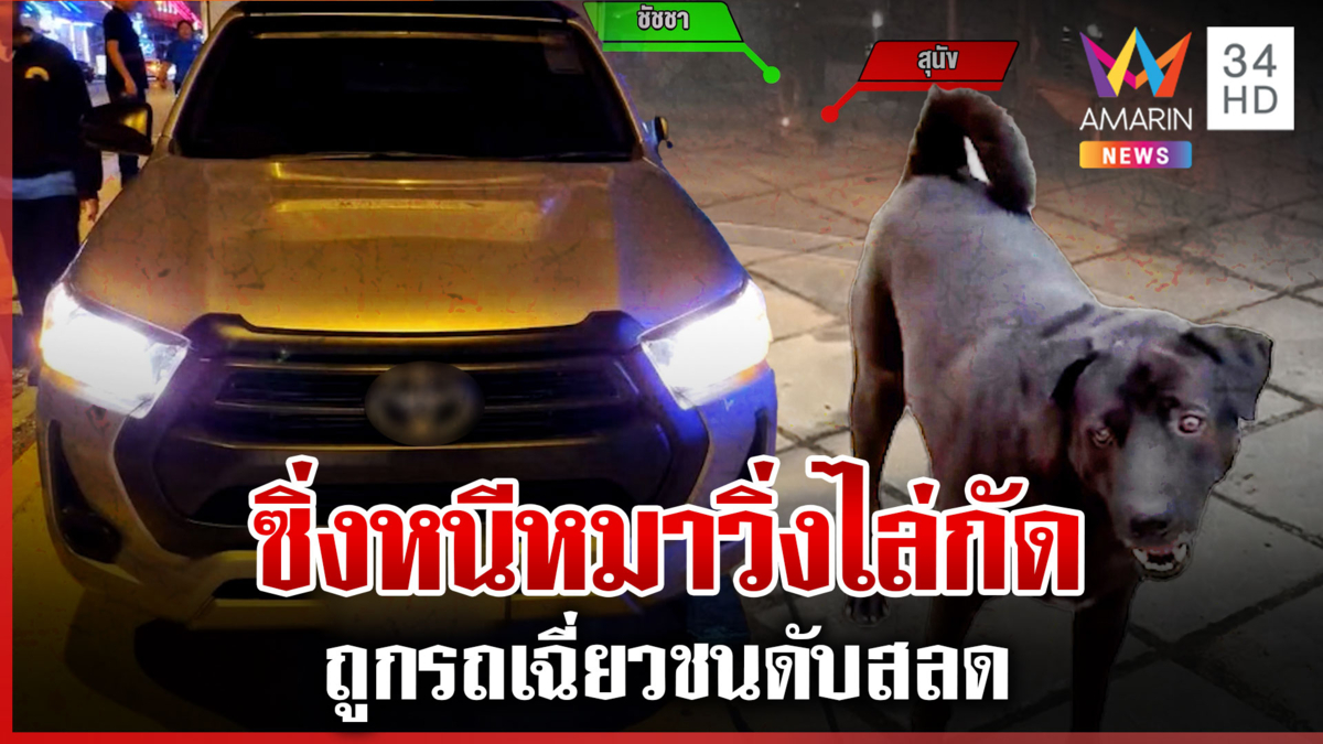 ซิ่งหนีหมา! โดนรถชนดับสลด ปู่ย่าร่ำไห้สูญเสียหลานสุดที่รัก